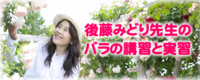 後藤みどり先生のバラの講習と実習バナー.png