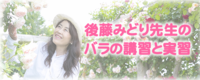 後藤みどり先生のバラの講習と実習バナー.png